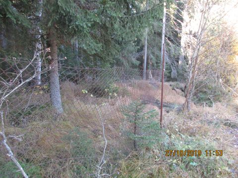 Foto 199